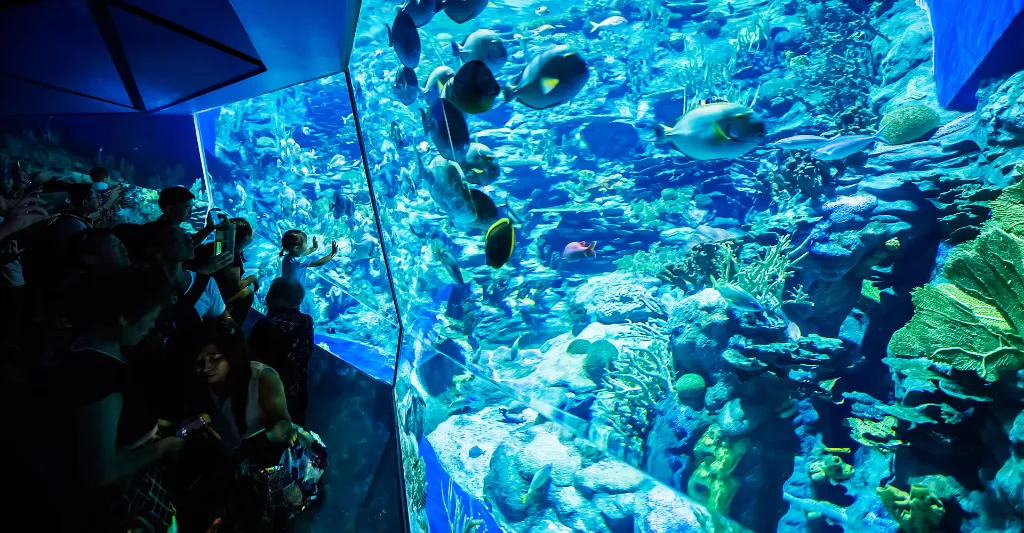 「海洋奇觀」.webp