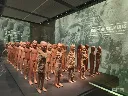 漢陽陵博物館.webp