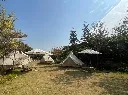 寵物友善農莊.webp