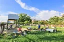 台中寵物公園.webp