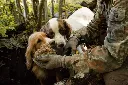 松露尋獵.webp